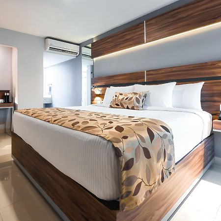 Sleep Inn Monterrey Norte San Nicolás de los Garzas Exteriör bild